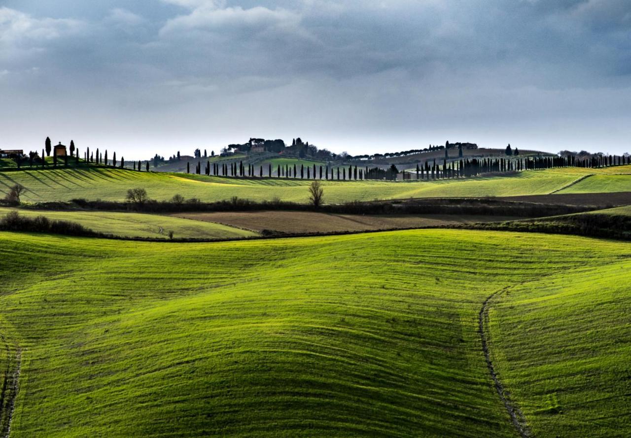 Podere Fossaccio Casa Pino Asciano Eksteriør bilde