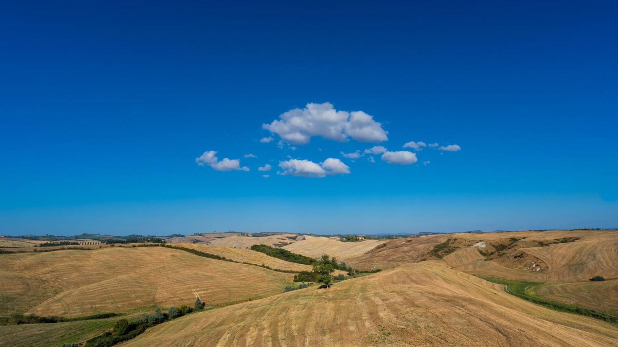 Podere Fossaccio Casa Pino Asciano Eksteriør bilde
