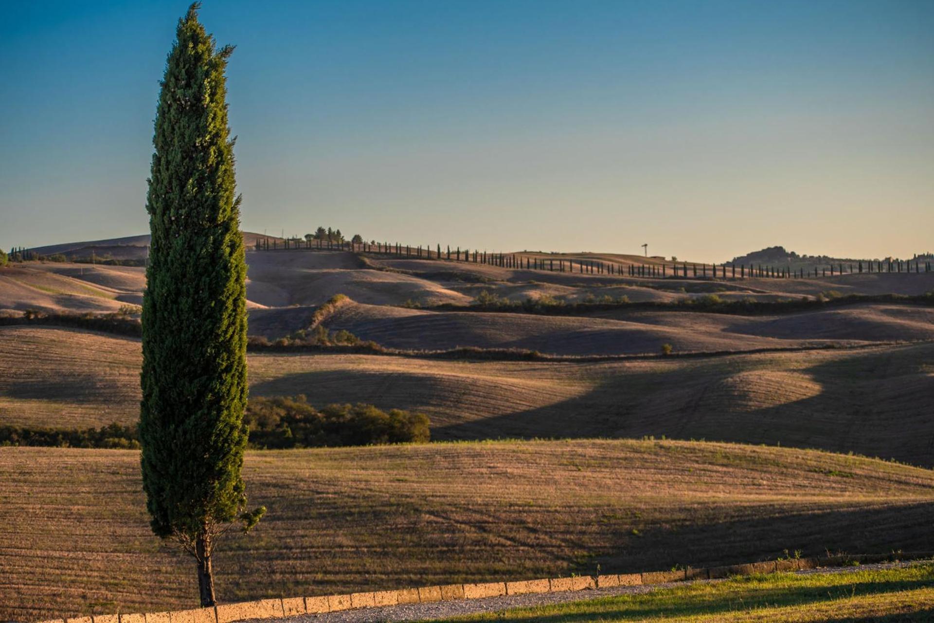 Podere Fossaccio Casa Pino Asciano Eksteriør bilde