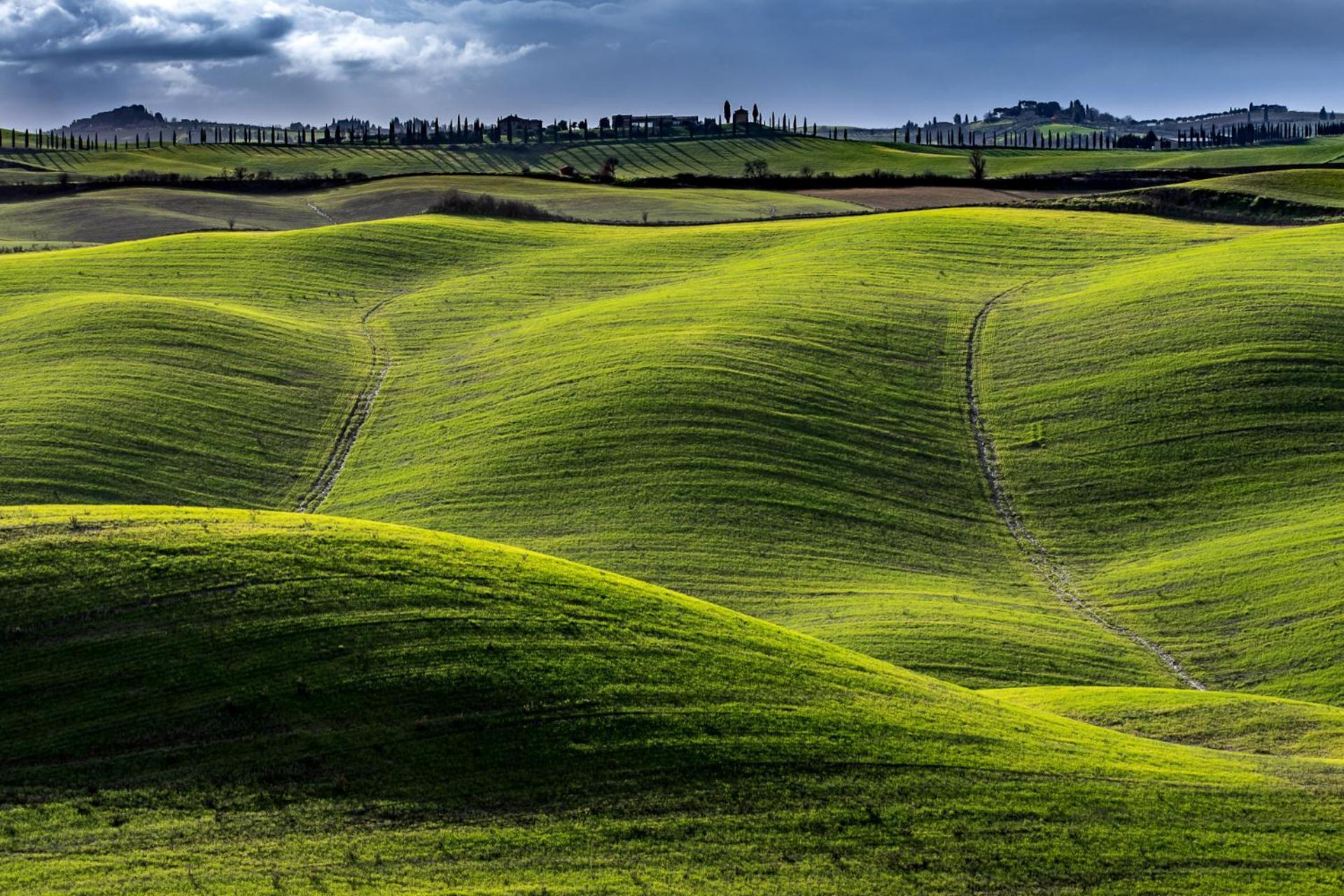 Podere Fossaccio Casa Pino Asciano Eksteriør bilde