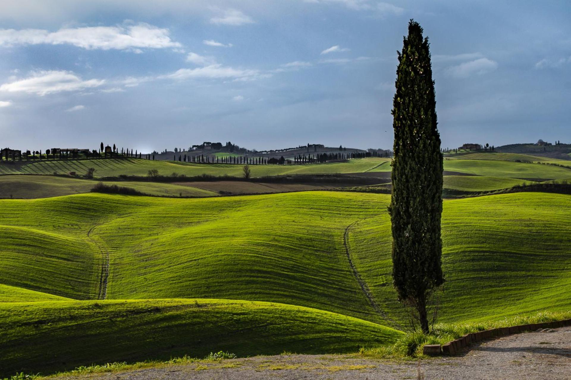 Podere Fossaccio Casa Pino Asciano Eksteriør bilde